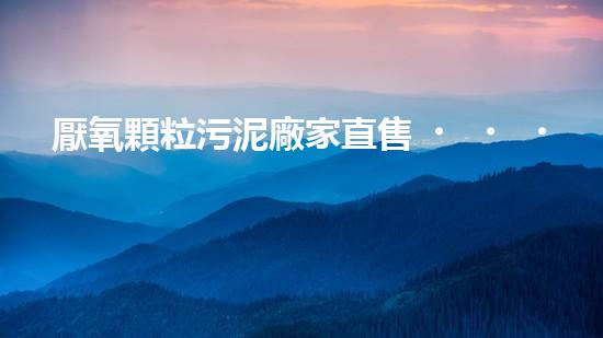 厭氧顆粒污泥廠家直售，上海府悅
